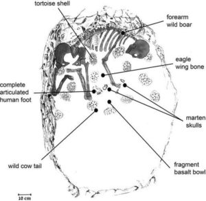 Nexus arcanum, antropologia, sciamanesimo, sciamano, cos'è lo sciamanesimo, chi è lo sciamano, anargirismo