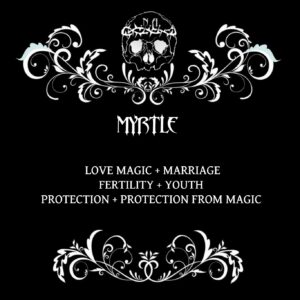 nexus arcanum, esoteric shop, shop esoterico, esoterismo, occultismo, hoodoo, voodoo, magia, occult products, prodotti esoterici, polveri hoodoo, prodotti su misura, prodotti esoterici su misura, incensi planetari, agrippa, de occulta philosophia, bagni rituali, sali da bagno, mistery box, witchy casket, candele vestite, candele in cera, candelotti in cera naturale, erbe, erboristeria magica, resine, incenso, incenso magico, myrtle, mirto